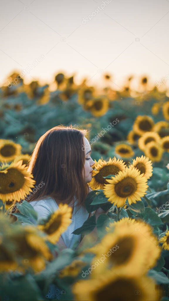 Young beautiful woman having fun in a sunflower field