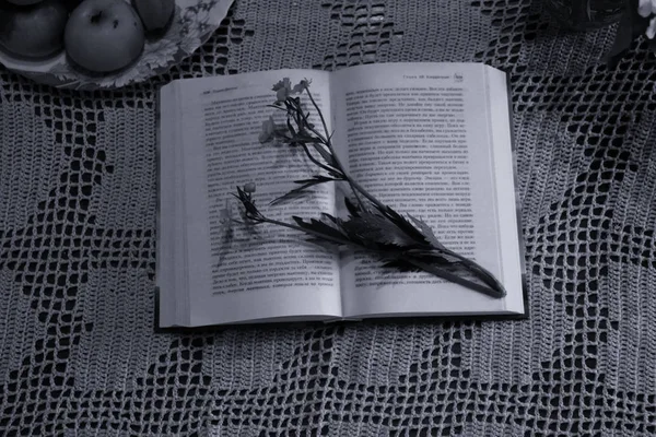 yaz natürmort: yabani çiçekler ve kitap