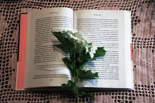 yaz natürmort: yabani çiçekler ve kitap
