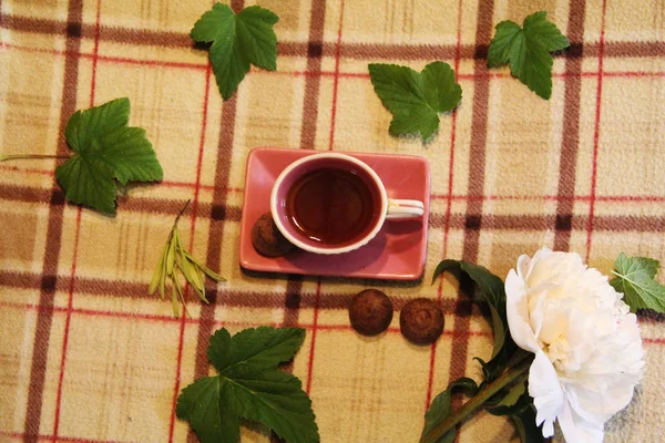 Natura Morta Coppa Foglie Peonia Caramelle — Foto Stock