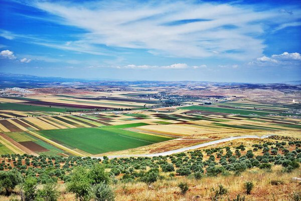 Nature in the Syrian - Turkish border