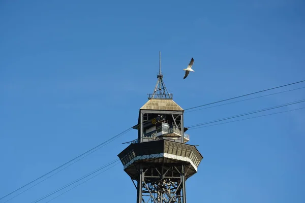 Cable car tower and seagull