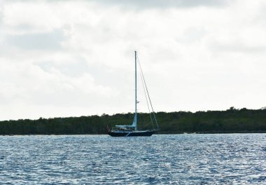 Okyanus kıyısında yelkenli