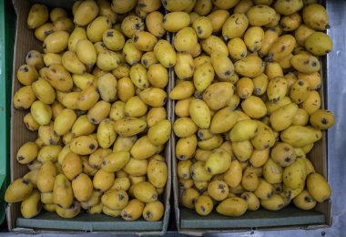 Süper pazarda persimmons