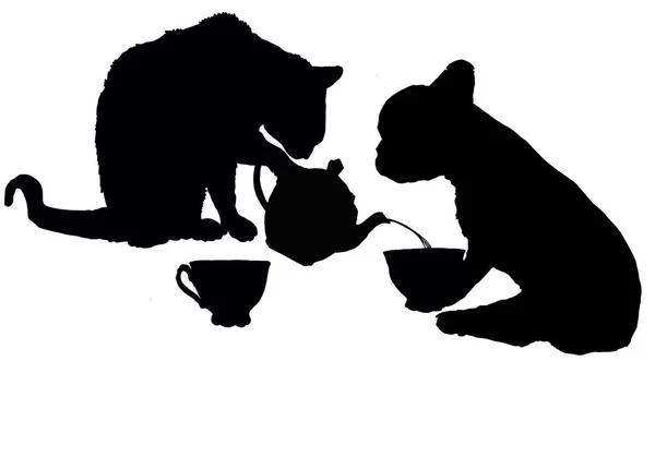Gyógynövényes Tea Sarok Macska Kutya — Stock Fotó