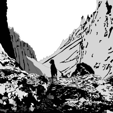 dağlarda yalnız köpek