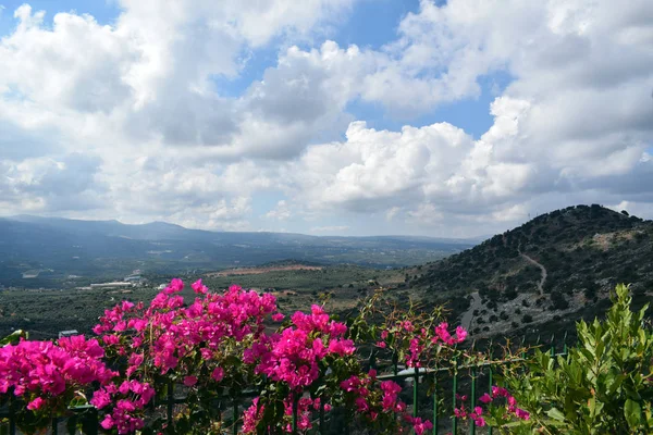 Dağlardaki manzara