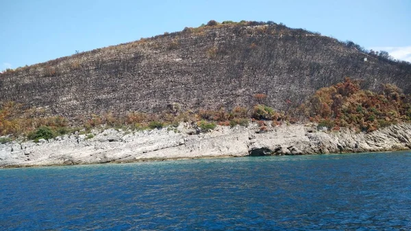 adada yanmış ağaçlar