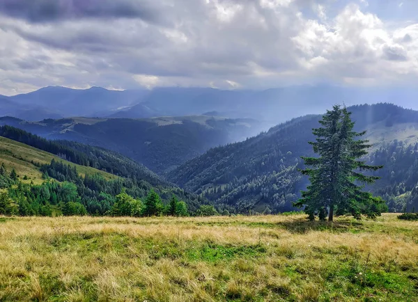Schöne Berglandschaft in den Karpaten — Stockfoto