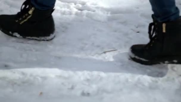 Junges fröhliches Mädchen in schwarzem Pelzmantel, das im Park auf Schnee weht. Winterurlaub. Porträt eines glücklichen Mädchens im Winterpark, sie spielt mit Schnee. — Stockvideo