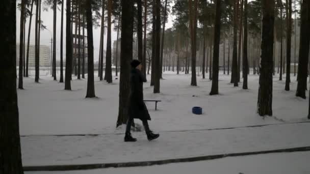 Lycklig flicka i svart päls som blåser på snön i parken. Vintersemester. Porträtt av glad tjej i Vinterparken, hon leker med snö. — Stockvideo