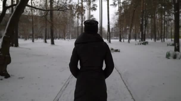 Jeune fille heureuse en manteau de fourrure noire soufflant sur la neige dans le parc. Vacances d'hiver. Portrait de fille heureuse dans le parc d'hiver, elle joue avec la neige . — Video