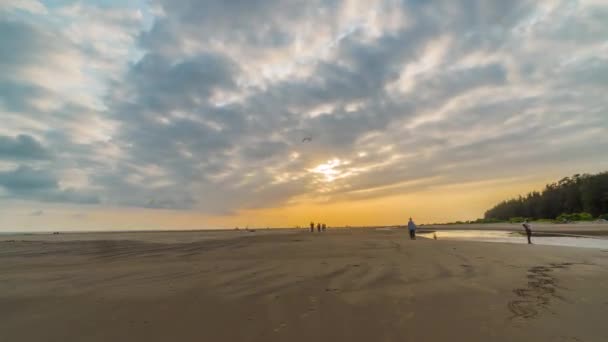 日没の太陽の光海岸線4kのタイムラプスインド — ストック動画