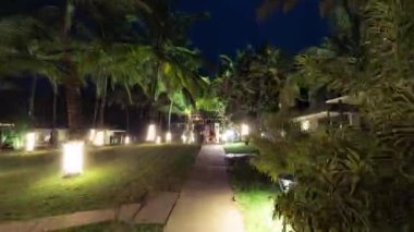 Bir palmiye ağacının önündeki ağaç 4k hızında.