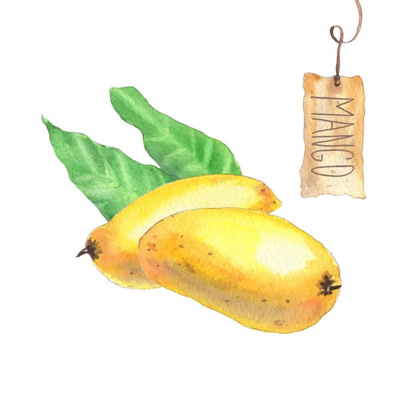 Yaprakları ve zanaat kağıt etiketi ile Mangos