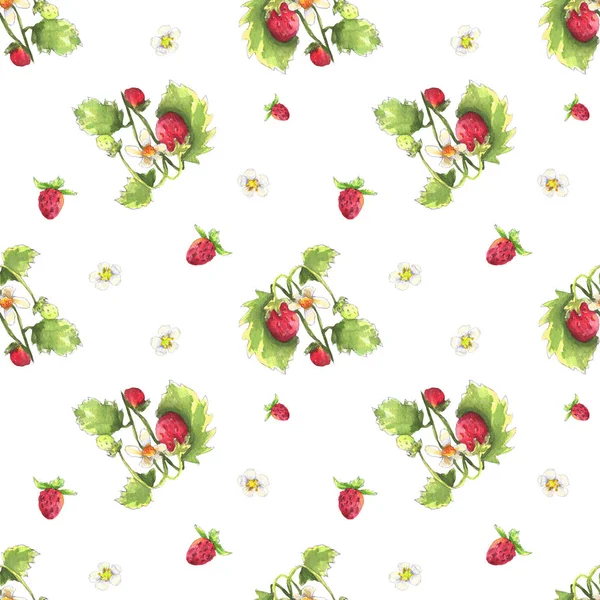 Wild strawberry pattern — 스톡 사진