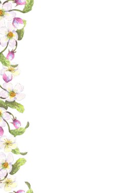 pembe elma çiçeği kenarlık