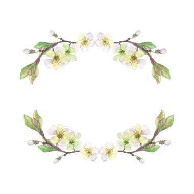 Elma beyaz çiçekleri çelenk