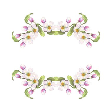 El çizilmiş suluboya pembe çiçekleri çelenk. Çiçek açan elma ağacı dalı. Çiçek çelenk tasarımı. Beyaz arka planda yalıtılmış -İllüstrasyon