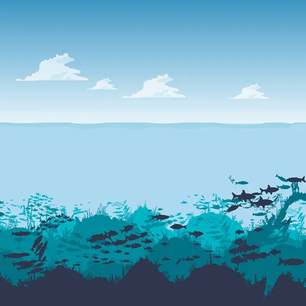 Silhouette Pesci Alghe Sullo Sfondo Scogliere Scena Sottomarina Dell Oceano — Foto Stock