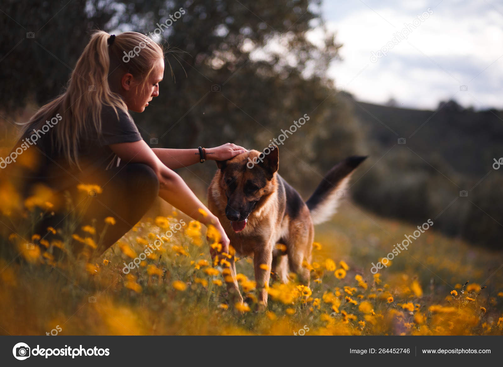 Blonde girl playing with german shepherd dog in a field of yellow