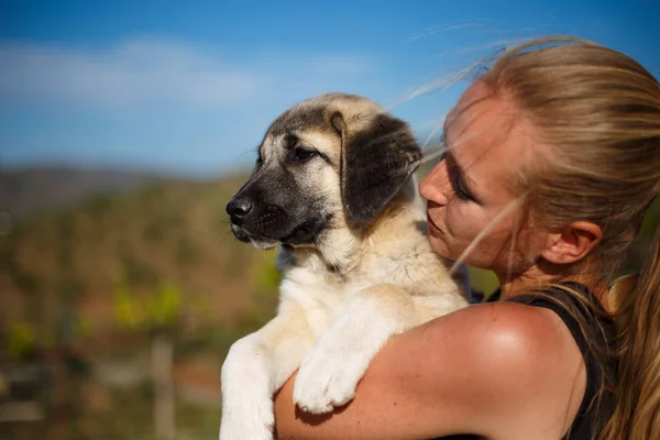 Blondes Mädchen spielt mit spanischem Dogge-Welpen — Stockfoto