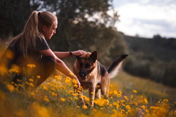 Blondes Mädchen spielt mit Schäferhund in einem Feld aus gelben Blumen — Stockfoto