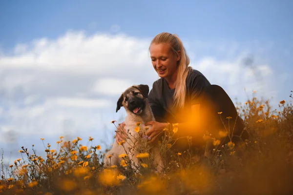 Blondes Mädchen spielt mit Welpe spanische Dogge in einem Feld von gelben Blumen — Stockfoto