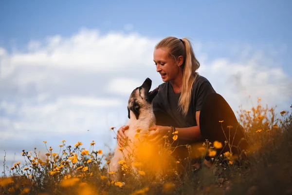 Menina loira brincando com cachorro mastim espanhol em um campo de flores amarelas — Fotografia de Stock