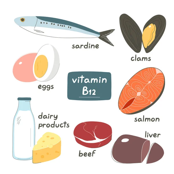 Продукты с высоким содержанием витамина b12 — стоковый вектор