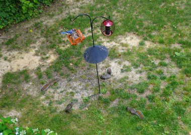 The top view of two bird feeders equipped with squirrel baffle clipart