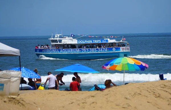 Virginia Beach July 2020 Dolphin Watching Boat Beach Hot Summer — Stock Photo, Image