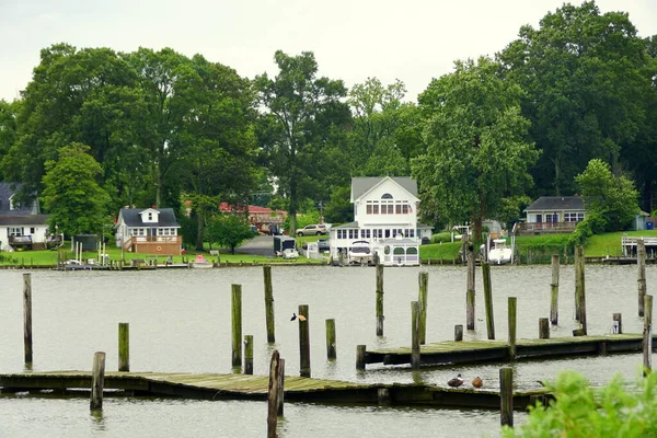 Cobb Island Maryland Αυγούστου 2020 Θέα Της Ξύλινης Αποβάθρας Και — Φωτογραφία Αρχείου