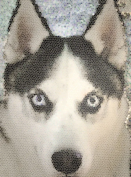 Perro Husky Con Ojos Azules Cerrar Cara Mosaico Ilustración —  Fotos de Stock