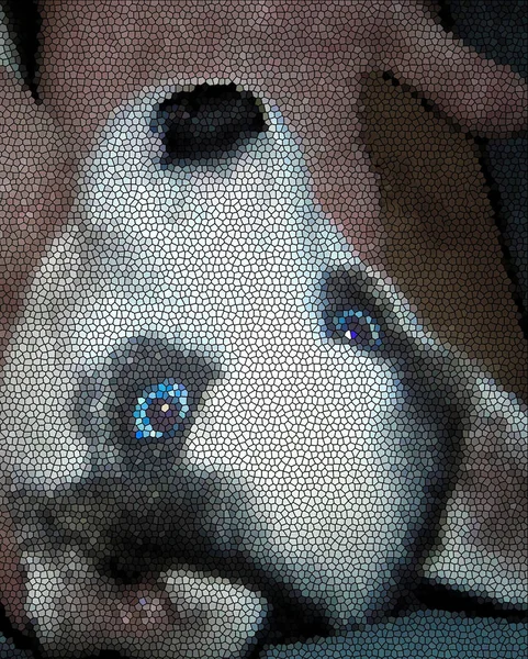 Husky Hund Puppe Mit Blauen Augen Nahaufnahme Gesicht Mosaik Illustration lizenzfreie Stockfotos