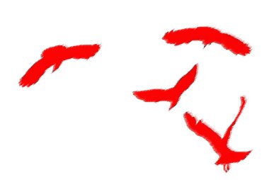 Beyaz arka planda dört kırmızı uçan kuş 