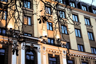 mavi pencereler ivedi bir ev ve ön planda bir dal