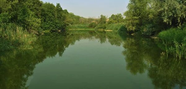 Malebný Panoramatický Výhled Jezero Obklopené Stromy Odrazem Vodě — Stock fotografie