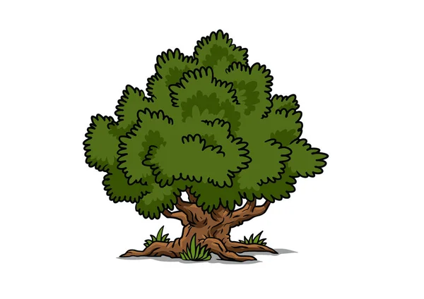 Dibujos animados gran árbol verde aislado sobre fondo blanco. Ilustración vectorial . — Vector de stock