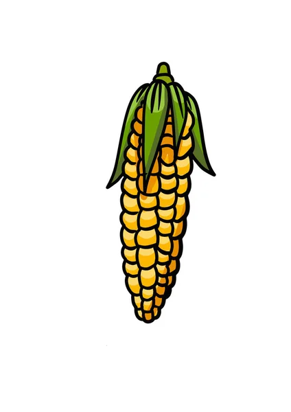 Colorful cartoon illustration of corn on a white background. Vector. — Stock Vector