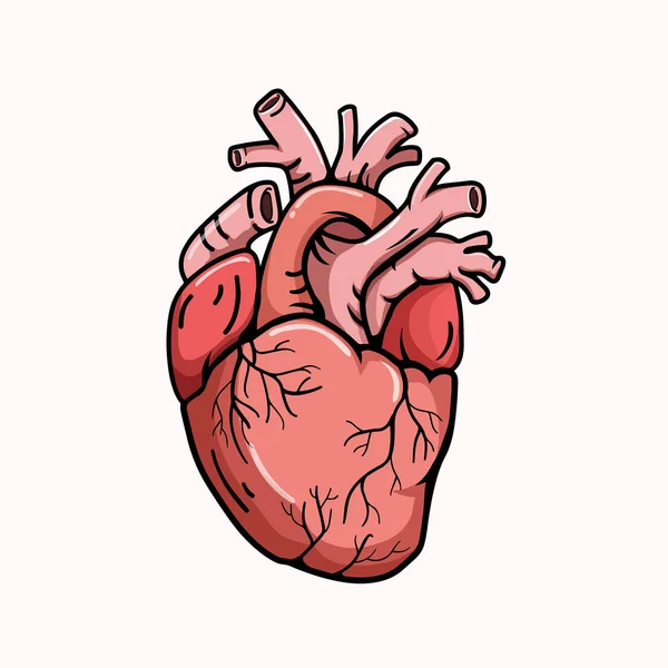 Coeur forme réelle style d'illustration — Image vectorielle