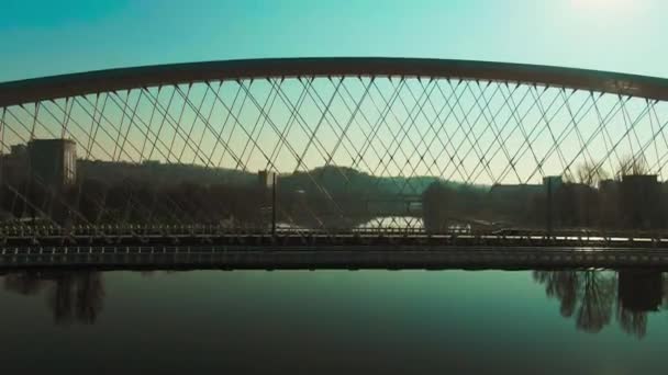 Γέφυρα Troja Στην Πράγα Κεραία Καθρέφτη Εικόνα — Αρχείο Βίντεο