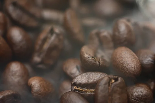 Robusta kahve çekirdekleri. Duman kahve çekirdekleri bileşimi. Kahve çekirdekleri arka plan