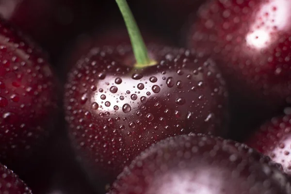Вишневая ягода. Снять вишневую макрофотографию крупным планом. Антиоксиданты, натуральные, органические, витаминные ягоды. Выборочный фокус. Капли воды на поверхность ягод. Макро фон — стоковое фото