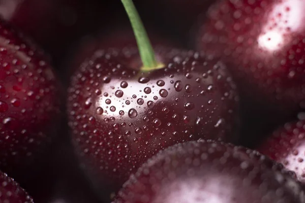 Vişne böğürtlen. Tatlı kiraz makro fotoğraf yakın. Antioksidan, doğal, organik, vitamin berry. Seçici odak. Meyvelerin yüzeyinde su damlaları. Makro arka plan