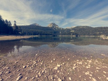 Çam ağaçları ile çevrili kristal berraklığında Orman Gölü.