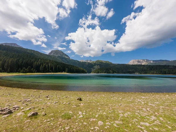 Kristallklarer Waldsee umgeben von Kiefern. — Stockfoto