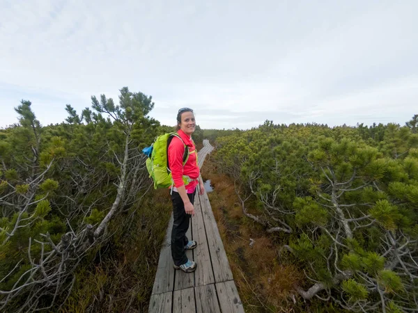 Caminante femenina caminando en un paseo marítimo de madera a través de pantanos . — Foto de Stock