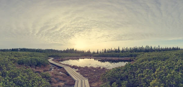 Espectacular vista al atardecer de un lago rodeado de humedales . —  Fotos de Stock