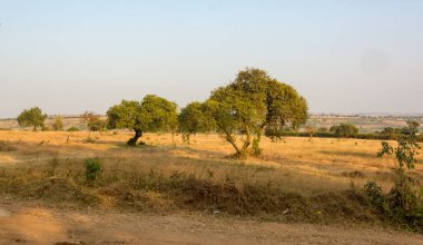 Savannah hills Kuru sezonunda kapsayan muhteşem manzara.